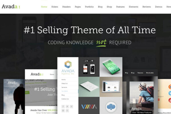 Avada theme is way better than other themes and themes that are free version.