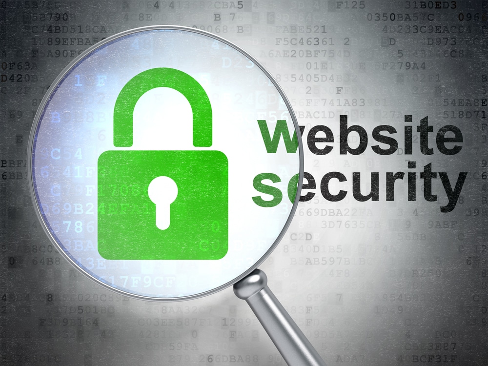 looking glass hovered over the words website security