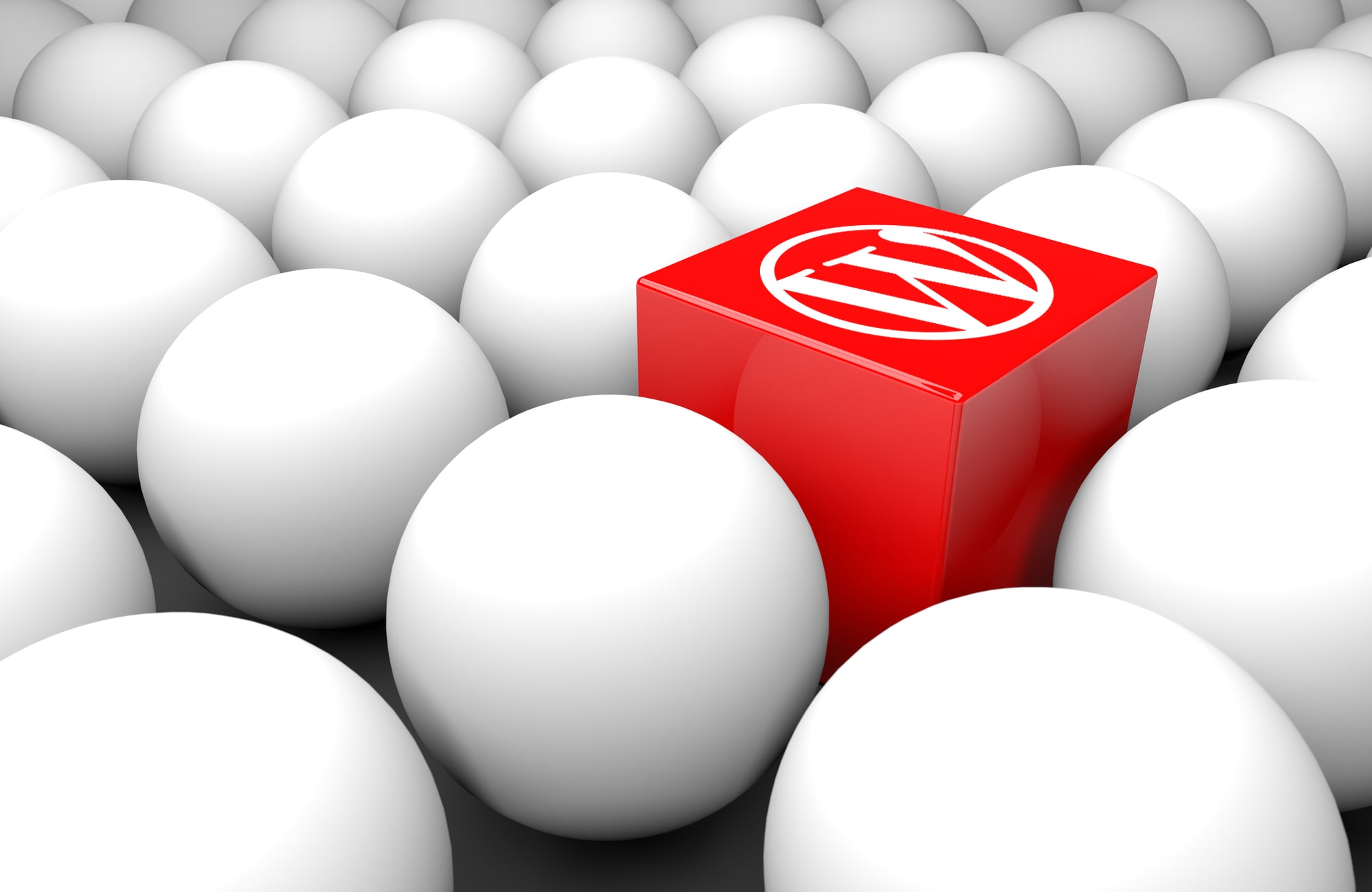 wordpress website stands out from competition