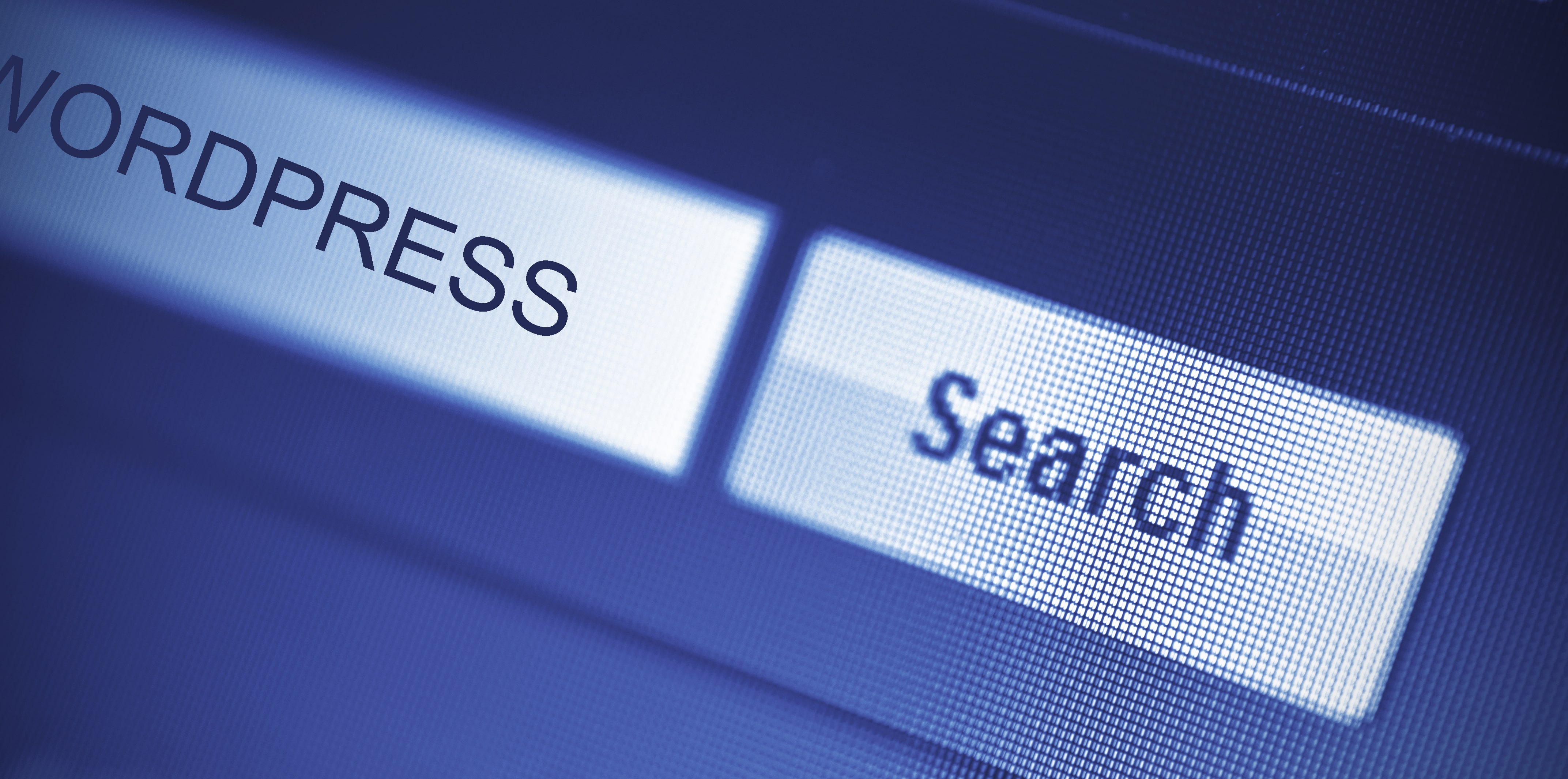 search engines love wordpress